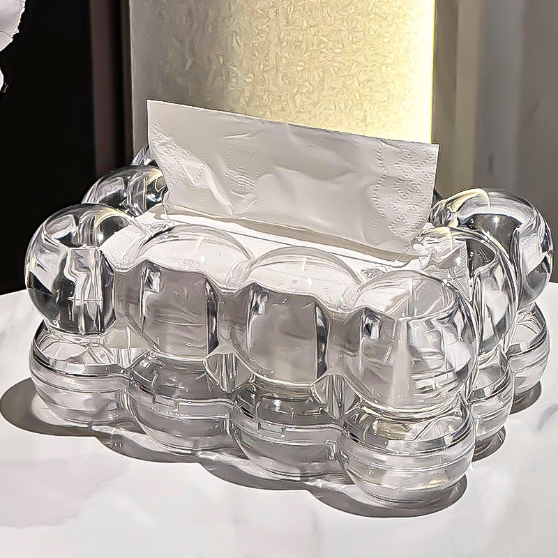 Sculptural Acrylic Tissue Box with Modern Design