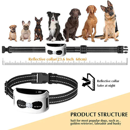 2 in 1 Wireless Dog Fence and Training Collar with Waterproof Design and Adjustable Range