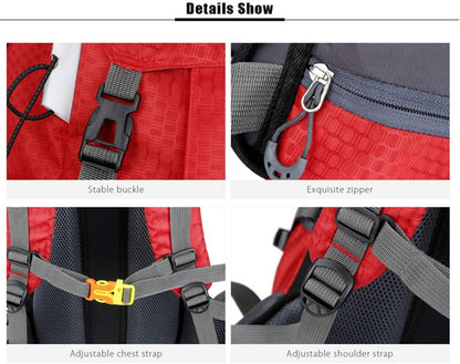 60L Lightweight Waterproof Hiking Backpack – Durable & Comfortable