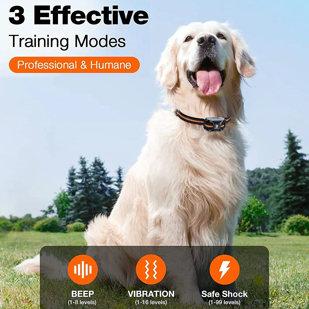 Advanced Dog Training Collar with Remote Waterproof