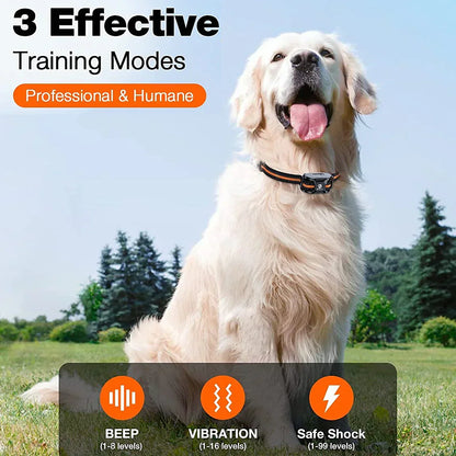 Advanced Dog Training Collar with Remote Waterproof