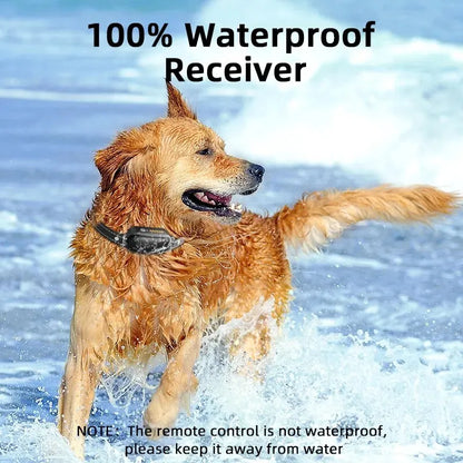 Honden trainingshalsband met afstandsbediening, waterdicht en oplaadbaar voor gedragsopleiding