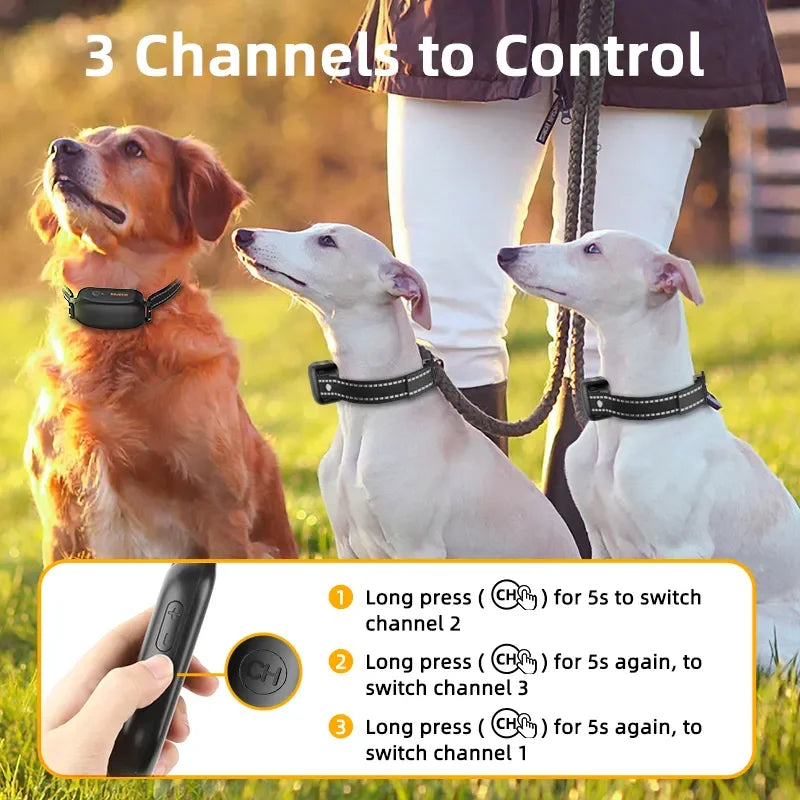 Honden trainingshalsband met afstandsbediening, waterdicht en oplaadbaar voor gedragsopleiding