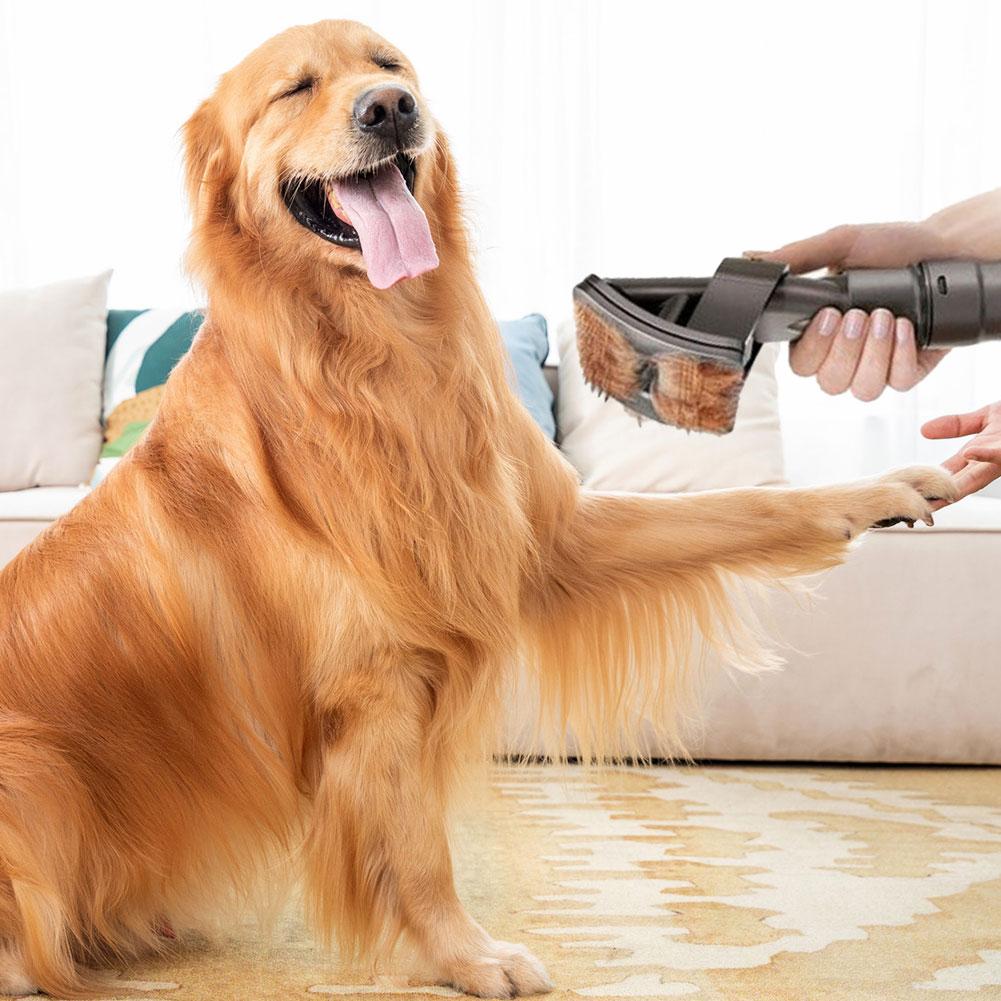 DogCatFri vakuumbørste kæledyrspelspleje vakuumtilbehør