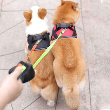 DoubleDog Dual Retractable Dog Lead with Anti Tangle Design and Light