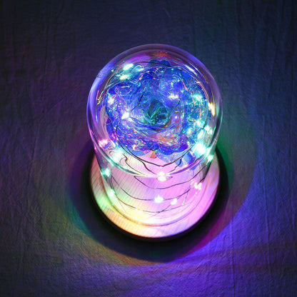 Eternal Rose Under Glass Dome with LED Lights