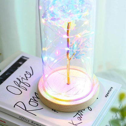 Eternal Rose Under Glass Dome with LED Lights