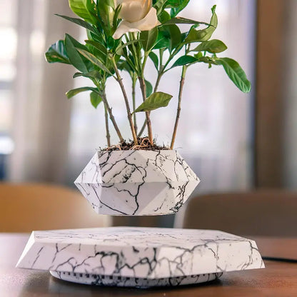 Flydende geometrisk urtepotte med base i valnødde-look