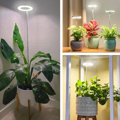 GrowGlow Justerbar LED plante lampe fuldspektret vækstlys