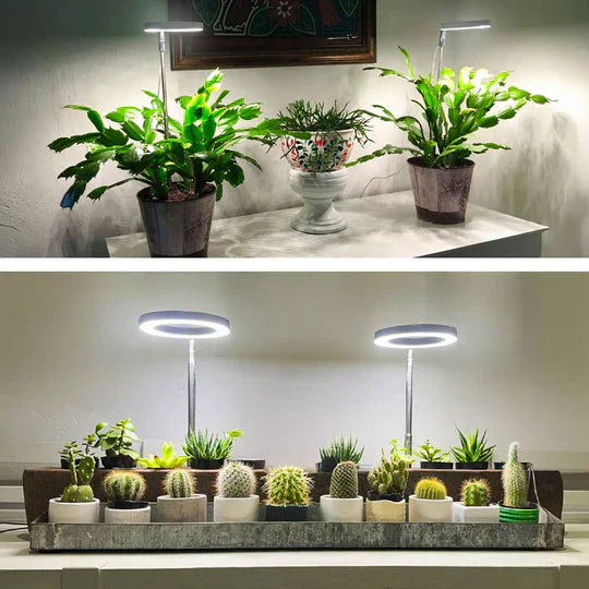 GrowGlow Justerbar LED plante lampe fuldspektret vækstlys