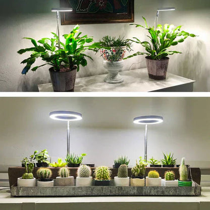 GrowGlow Justerbar LED plante lampe fuldspektret vækstlys