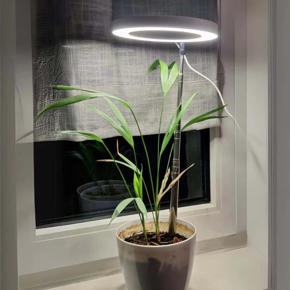 GrowGlow Justerbar LED plante lampe fuldspektret vækstlys