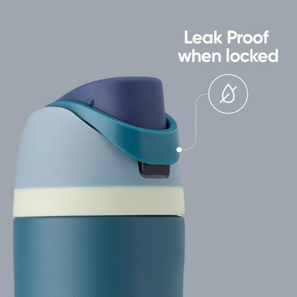 LeakProof Insulated Stainless Steel Water Bottle with Straw