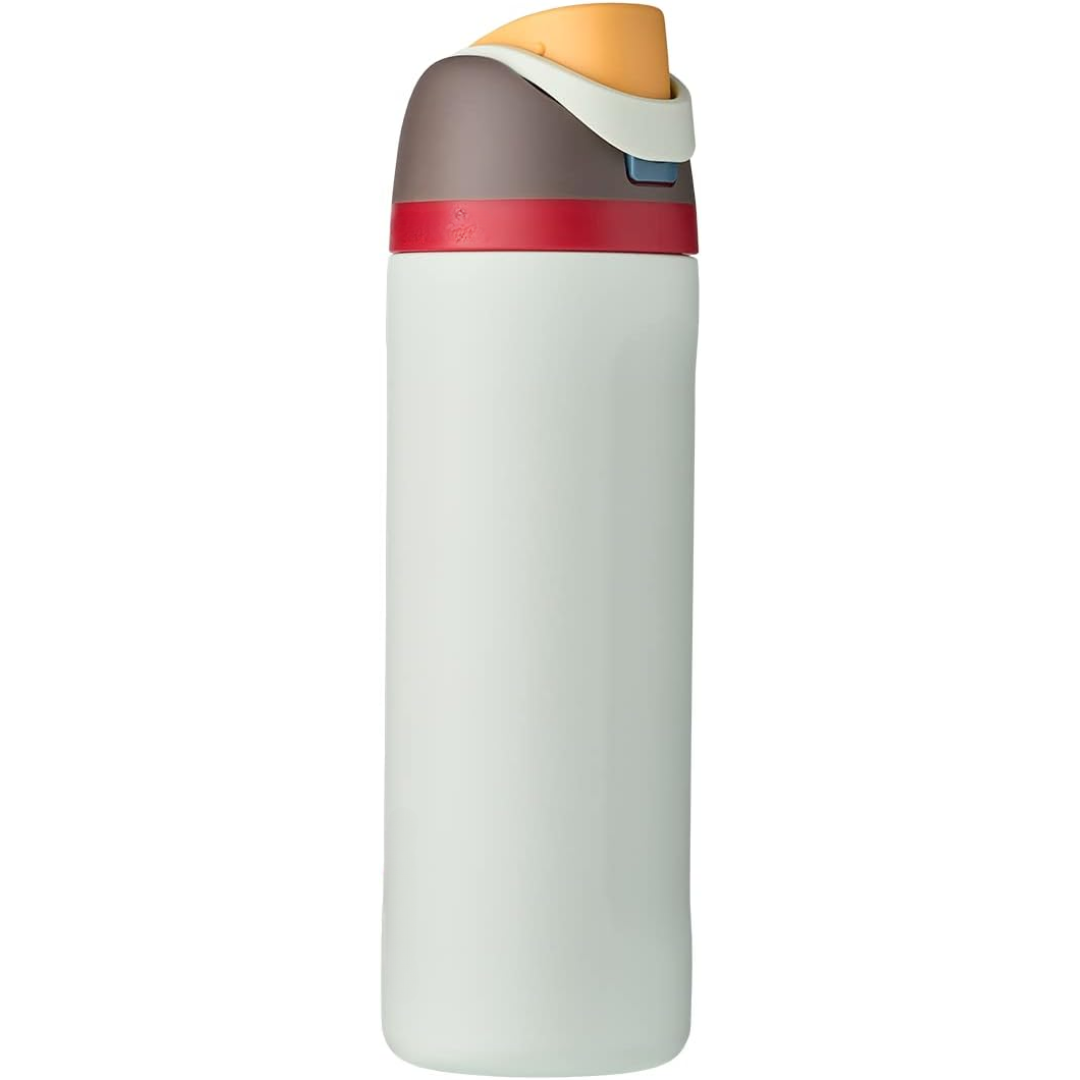 LeakProof Insulated Stainless Steel Water Bottle with Straw