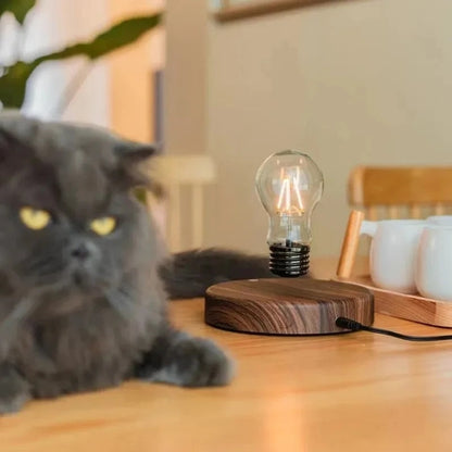 Levion svævende Tesla-lampe flydende magnetisk LED stemningsbordlampe