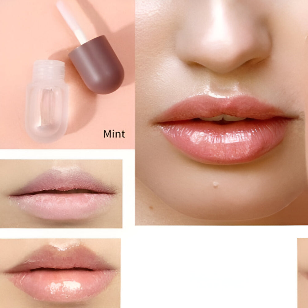 Lip Plumper Gloss Hydrating Balm Duo Ginger Mint Extract