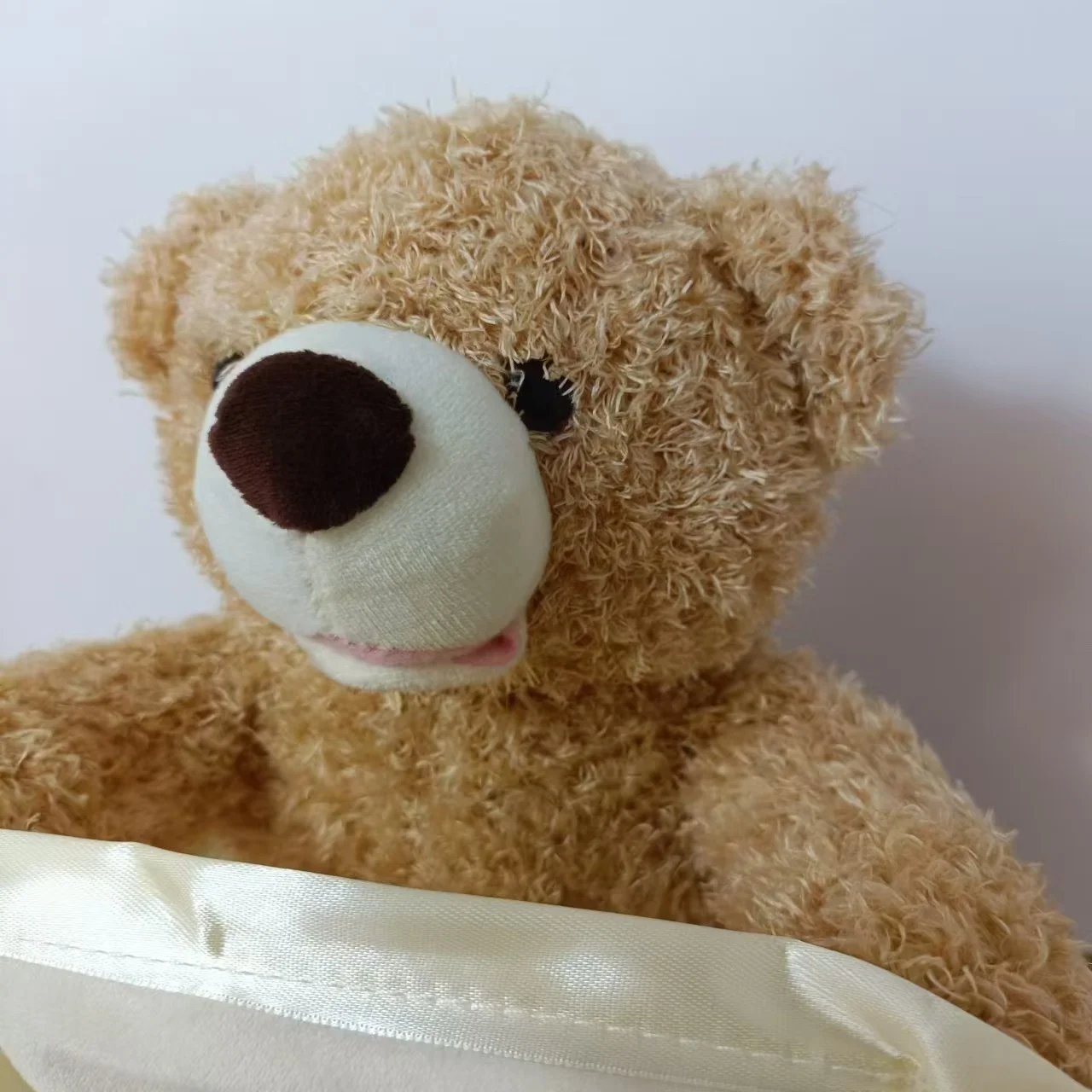 SnuggleBuddy peek a boo bjørn interaktivt talende plysdyr til babyer og småbørn
