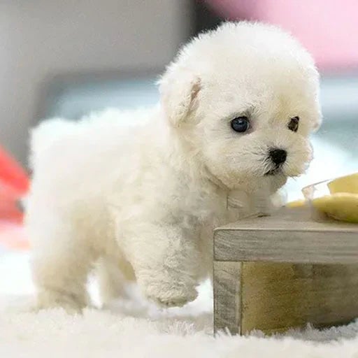 SnugglePup Realistic Plush Puppy Soft Cuddly Companion Toy