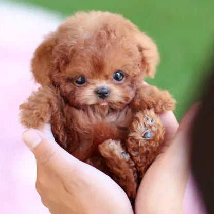 SnugglePup Realistic Plush Puppy Soft Cuddly Companion Toy