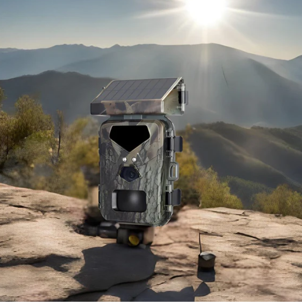 Zonne-energie aangedreven wildcamera – professionele bewaking van dieren en eigendommen