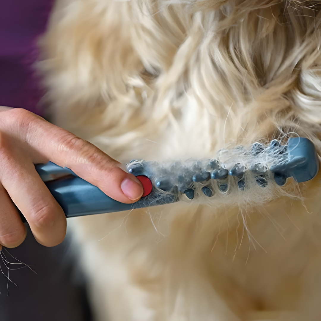 Verhedderungsfreie Haustierbürste, sanfter Entwirrer für Hunde und Katzen  