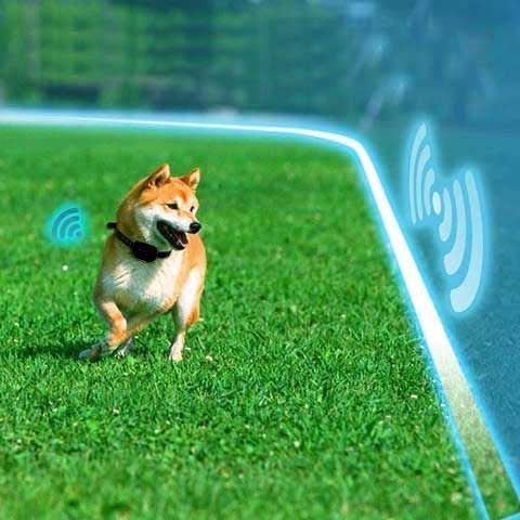 Wireless Dog Fence with Remote Portable Pet Containment System 500m Range