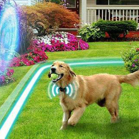 Wireless Dog Fence with Remote Portable Pet Containment System 500m Range