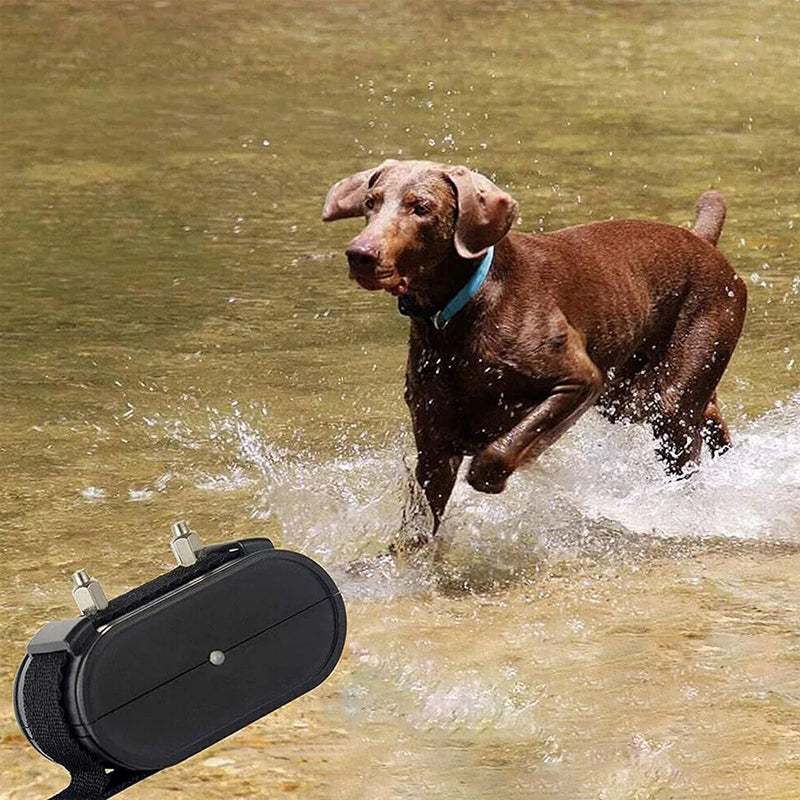 Wireless Dog Fence with Remote Portable Pet Containment System 500m Range