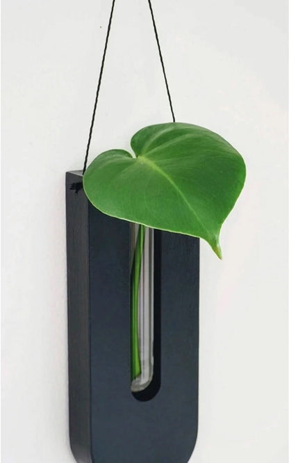 WoodFlora Rustic Wooden Wall Plant Holder Set